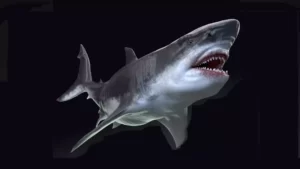 MEGALODON – Sea Monster Series 5 (4.26, 4.27, 5.0, 5.1)