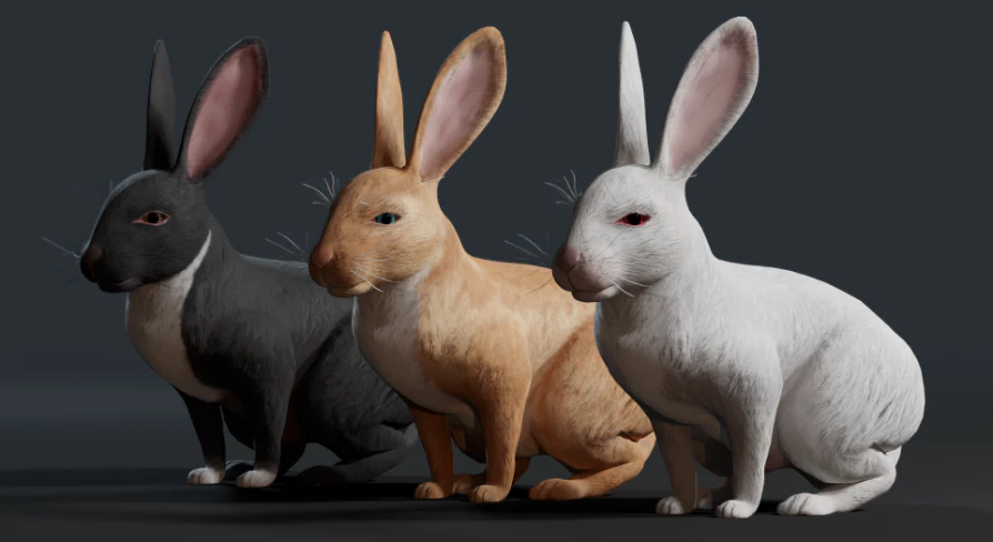 Gfx Rabbit Realistic Rabbit - Unreal Engine Assets Free Download
