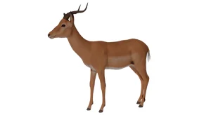 Antelope Impala (4.27+)